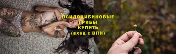 трава Сясьстрой