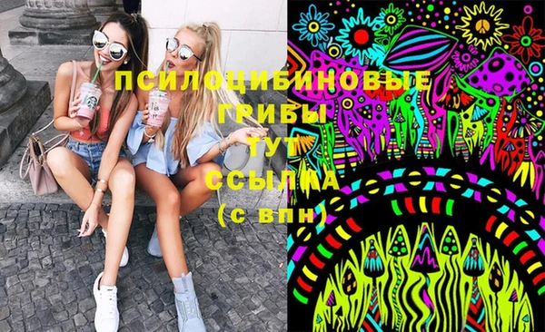 трава Сясьстрой