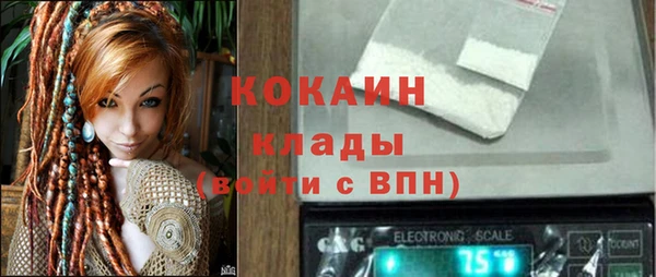 трава Сясьстрой